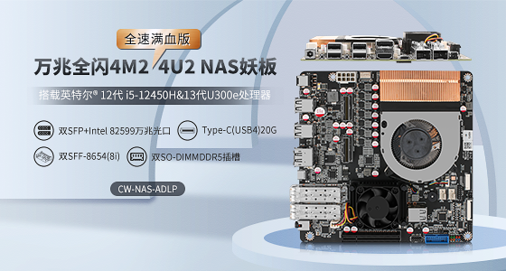 CW-NAS-AR-SFP+ 万兆全闪nas主板